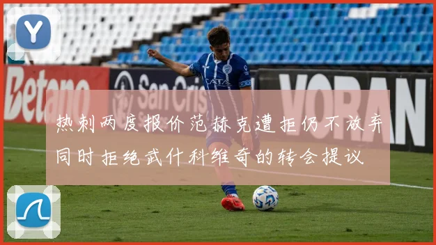 热刺两度报价范赫克遭拒仍不放弃同时拒绝武什科维奇的转会提议