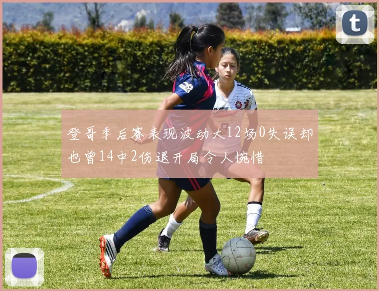 登哥季后赛表现波动大12场0失误却也曾14中2伤退开局令人惋惜